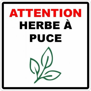 Affiche de sécurité pour plein air: Attention herbe à puce