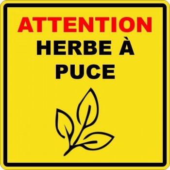 Affiche de sécurité pour plein air: Attention herbe à puce - jaune -