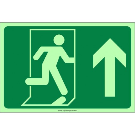 Affiche photoluminescente d'urgence: Porte bonhomme (flèche vers le haut ou tout droit)