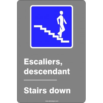 Affiche de sécurité aux normes CSA bilingue: Escaliers descendant
